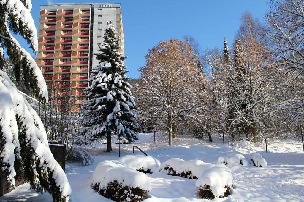 Familien Apartmenthotel Panoramic Bad Lauterberg Ngoại thất bức ảnh